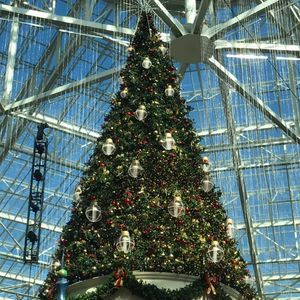 Meet your Posher, Steve